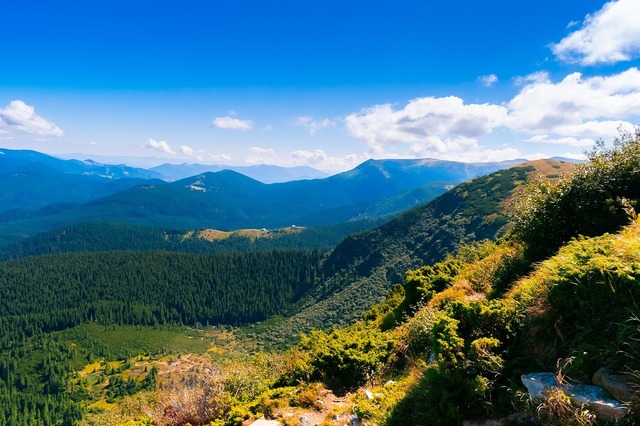 comisia europeana romania are termen doua luni sa ia masurile necesare pentru a si proteja si gestiona siturile natura 2000 6852e53eb26ab