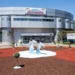 constanta delfinariul se redeschide dupa finalizarea lucrarilor de modernizare a bazinelor spectacolele vor fi reluate de duminica inclusiv cu delfini din ucraina 684d604da7ce1