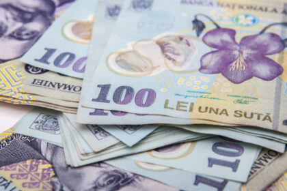 controale la transelectrica si romsilva curtea de conturi a descoperit prime ilegale si salarii care au depasit bugetul alocat 6852b27402024