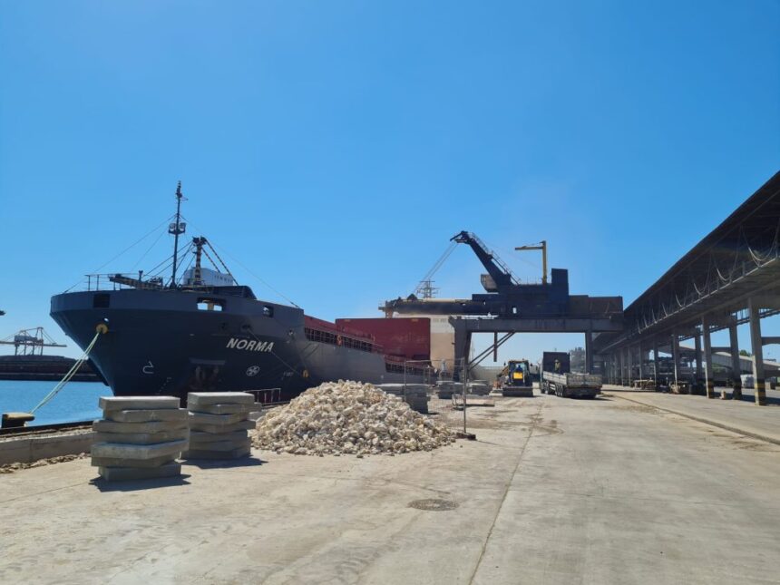 doua firme cercetate in dosarul mita in portul constanta isi cer falimentul in instanta 68529b82b6adf