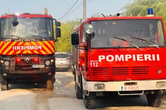 doua incendii de vegetatie uscata in constanta pompierii intervin in zonele aleea universitatii si heliportul smurd 685be96524c19