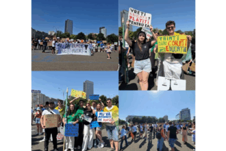 elevii si studentii ies in strada impotriva taierilor pregatite de guvern nu din burse strangi averi 6860edc953645