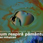 expozitie de fotografie a regizorului dan mihalcea la delfinariu 684f5bb78e361