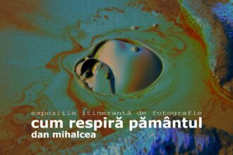 expozitie de fotografie a regizorului dan mihalcea la delfinariu 684f5bb78e361