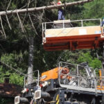 foto circulatia trenurilor intre sinaia busteni reluata dupa ce un copac a cazut pe linia de contact 2 106 minute de intarziere cumulate 68622a9832b1e
