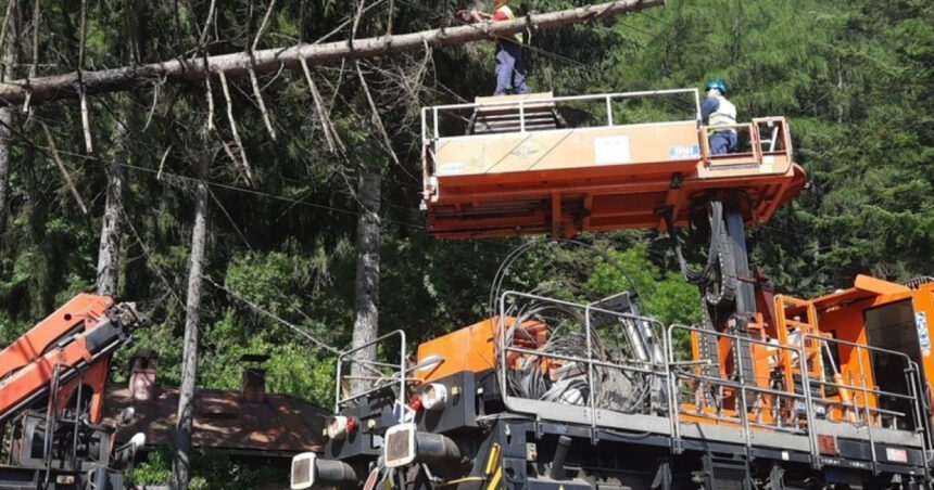 foto circulatia trenurilor intre sinaia busteni reluata dupa ce un copac a cazut pe linia de contact 2 106 minute de intarziere cumulate 68622a9832b1e