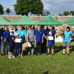 foto ei sunt castigatorii competitiei de kures de la medgidia zeci de tineri au participat la traditionalele lupte tataresti 6857a265046ee