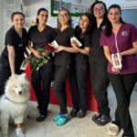 foto partnervet sprijinit de d craig holding si de vetimex capital continua extinderea operatiunilor si preia o clinica de stomatologie veterinara 685cef3d27059