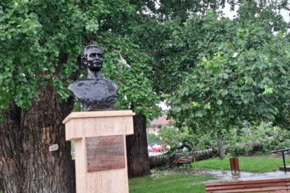 foto unul dintre copacii care l au inspirat pe mihai eminescu a cazut in iasi interventie de urgenta a isu 6849acda63274