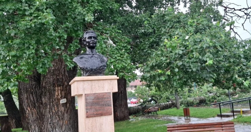 foto unul dintre copacii care l au inspirat pe mihai eminescu a cazut in iasi interventie de urgenta a isu 6849acda63274