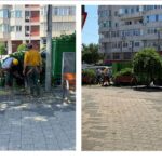 foto video lucrarile de toaletare a copacilor de pe bulevardul tomis au lasat zona aproape fara umbra in plina canicula 685bb3ef7eb6b