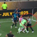 galerie foto s a lasat cu scandal la finalul meciului inter river plate cristi chivu a sprintat 70 de metri sa l opreasca 685cc2e19d23e