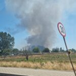 incendii de vegetatie uscata in zonele celsy la iesire din ovidiu si ro ro intre agigea si eforie 68569022a7ae0