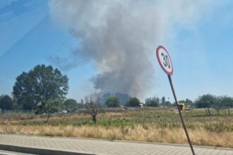 incendii de vegetatie uscata in zonele celsy la iesire din ovidiu si ro ro intre agigea si eforie 68569022a7ae0