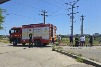 incendiu de vegetatie la iesirea din constanta in zona dn2a soferii au intervenit cu extinctoare pana la sosirea pompierilor 68401ba008993
