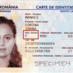 inedit ministrul care a introdus in romania cartea electronica de identitate a simtit acum pe propria piele ce inseamna birocratia 6841d8ff6595d
