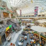 infografic mall urile din romania cele mai mari incasari din istoria pietei moderne de retail in pofida inflatiei noua schimbare de lider si o eliminare din clasament 6859dd9389782