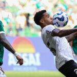 live video palmeiras botafogo live de la ora 1900 rivalele se infrunta in la mondialului cluburilor 685f815f52713