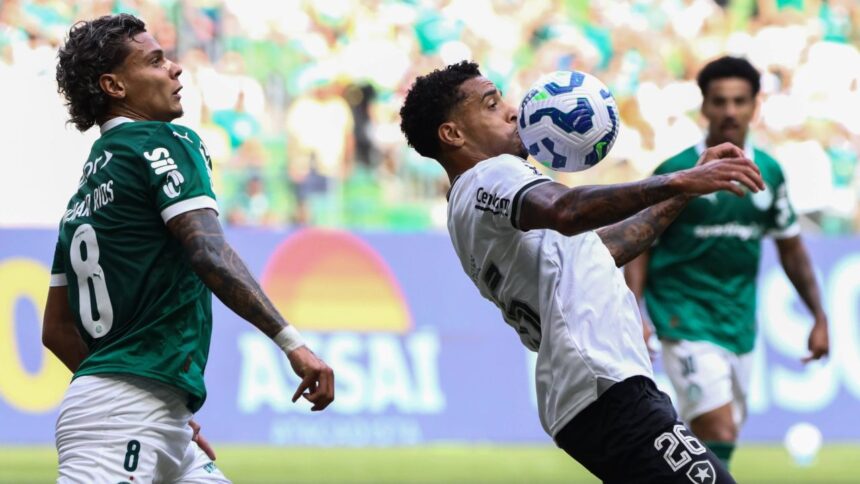 live video palmeiras botafogo live de la ora 1900 rivalele se infrunta in la mondialului cluburilor 685f815f52713