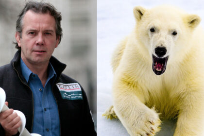 m am luptat cu un urs polar inarmat cu o cratita cum a scapat cu viata un explorator britanic aflat singur pe o insula inghetata 683cc4c7a9fd8