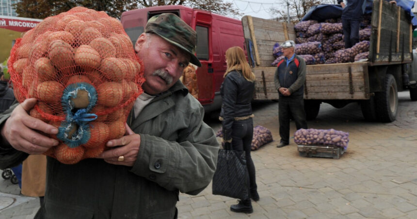 mafia cartofilor starneste furie in belarus cum a declansat lukasenko o criza agricola de care profita rusia 685e384338b1c