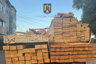 murfatlar sofer amendat pentru nerespectarea dispozitiilor codului silvic vezi ce spun politistii 685fc91240556