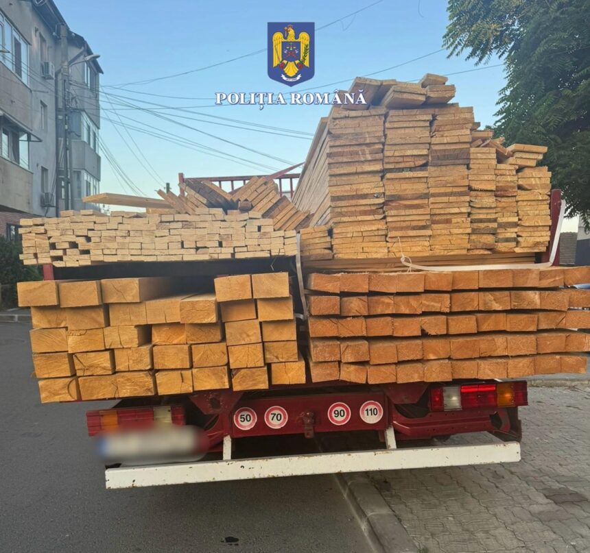 murfatlar sofer amendat pentru nerespectarea dispozitiilor codului silvic vezi ce spun politistii 685fc91240556