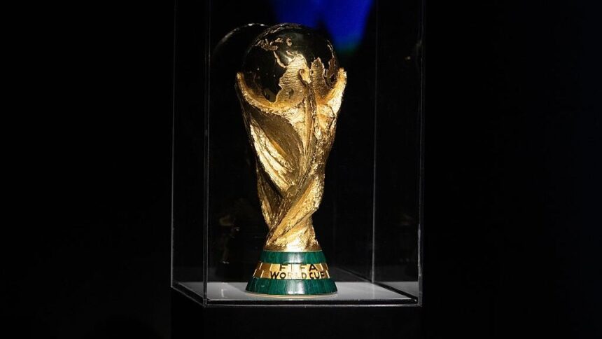 news alert out selectionerul a fost demis dupa ce calificarea la campionatul mondial a fost compromisa 685fd7a920b4d
