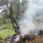 nou accident aviatic in india un elicopter cu pelerini hindusi s a prabusit iar toti pasagerii au murit 684e95e09c02b