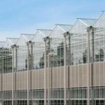nou jucator richel group unul dintre liderii europeni in domeniu intra in romania 68475a3be431b
