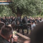 noua reglementare vizata pentru protectia animalelor interzicerea anumitor concursuri si spectacole 6849d2d737e78