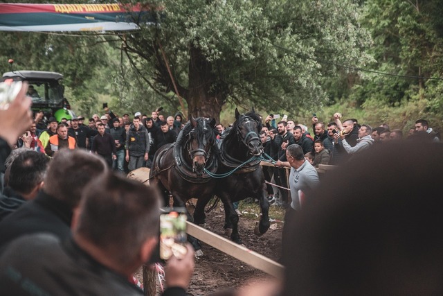 noua reglementare vizata pentru protectia animalelor interzicerea anumitor concursuri si spectacole 6849d2d737e78