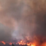 o menajera este acuzata ca a provocat unul dintre incendiile devastatoare din insula greceasca chios 685ce90668279