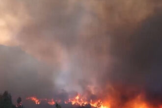 o menajera este acuzata ca a provocat unul dintre incendiile devastatoare din insula greceasca chios 685ce90668279