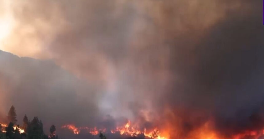 o menajera este acuzata ca a provocat unul dintre incendiile devastatoare din insula greceasca chios 685ce90668279