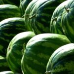 pepenii de import au invadat pietele din romania vindem la un super pret doritorii sunt asteptati 684d6e17201e2