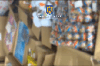 peste 9 000 de jucarii contrafacute ascunse intr un container sosit din china si descoperite in portul constanta 684ad1fbeed32