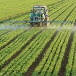 randamentele agricole mondiale vor scadea cu procente cuprinse intre 11 si 24 pana in 2100 6853c9cc489eb