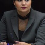 sefa anaf va da explicatii parlamentului despre evaziunea fiscala si colectarea deficitara a taxelor 68499171f178d