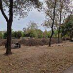 socant un minor a fost gasit spanzurat in parcul tabacarie 683e89a5f08e4