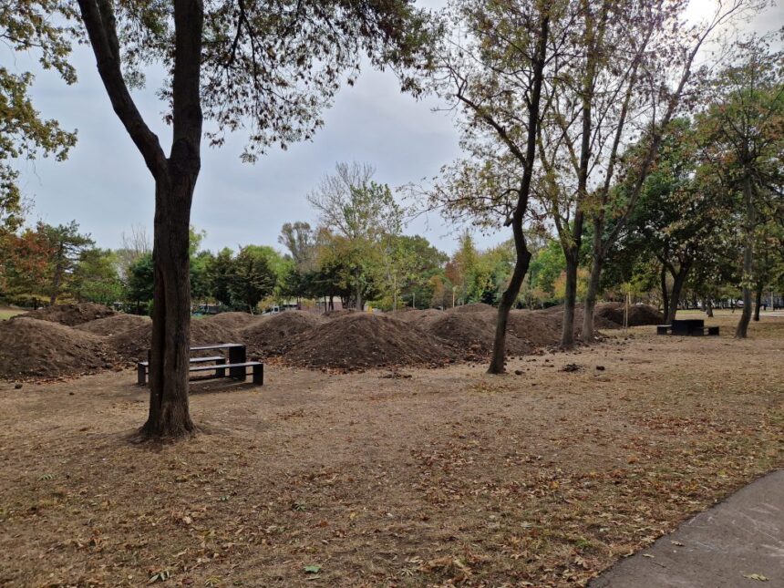 socant un minor a fost gasit spanzurat in parcul tabacarie 683e89a5f08e4