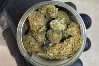 tanar prins de jandarmii constanteni cu jointurile in geanta 6862991b74950