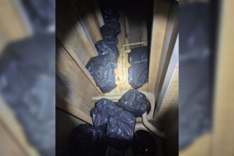 tigari de contrabanda ascunse intr un tanc de apa descoperite pe o nava in portul constanta 686119336426f