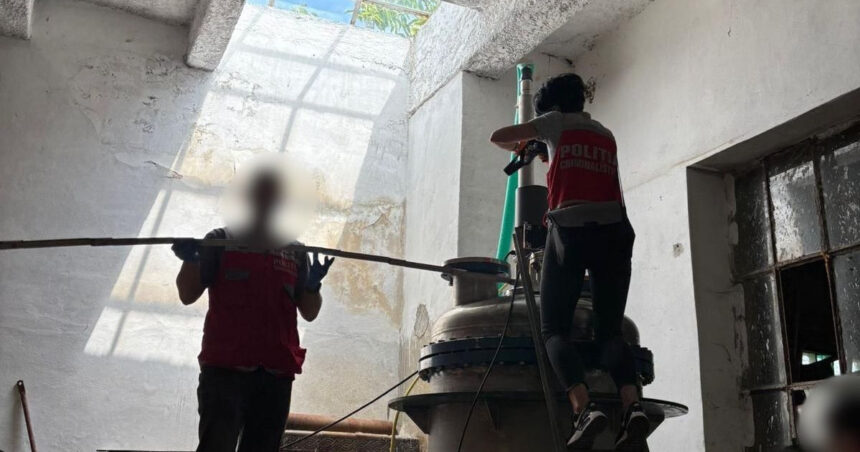 unul dintre cele mai mari laboratoare de droguri sintetice din romania descoperit intr un depozit din brasov ce au gasit anchetatorii 6856d4a5b9c72