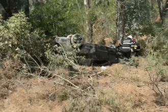 video accident grav in apropiere de plauru tulcea doua persoane ranite una cu membru amputat 685d38e9dab9e