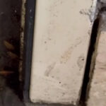 video comisarii anpc au controlat din nou restaurantul chinezesc dintr un mall al capitalei gandaci produse expirate si pereti murdari 685780ec1192c