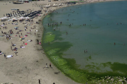 video covor de alge pe litoral la inceput de sezon cum explica specialistii fenomenul intalnit de regula spre finalul verii 684270cf58fc6