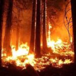 video fumul incendiilor din canada a ajuns in europa 683f57832c395