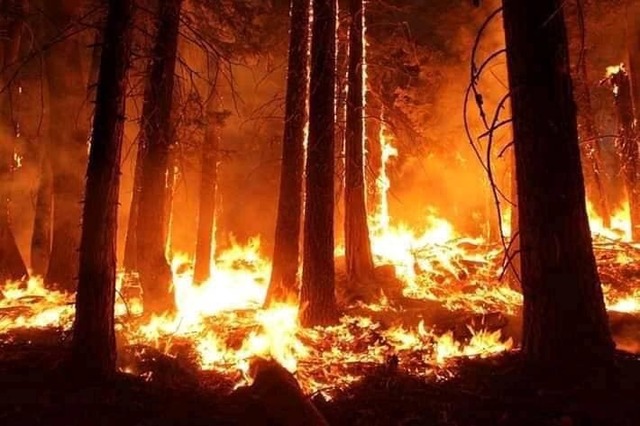 video fumul incendiilor din canada a ajuns in europa 683f57832c395