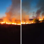 video incendiu de vegetatie filmat de o localnica din murfatlar vai ce mare e 6857944b43955